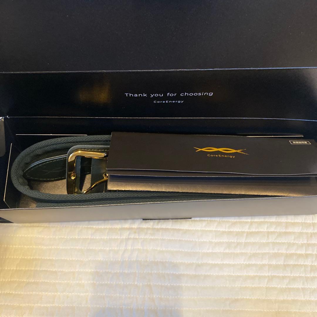 新品未使用　コアエナジーCGB