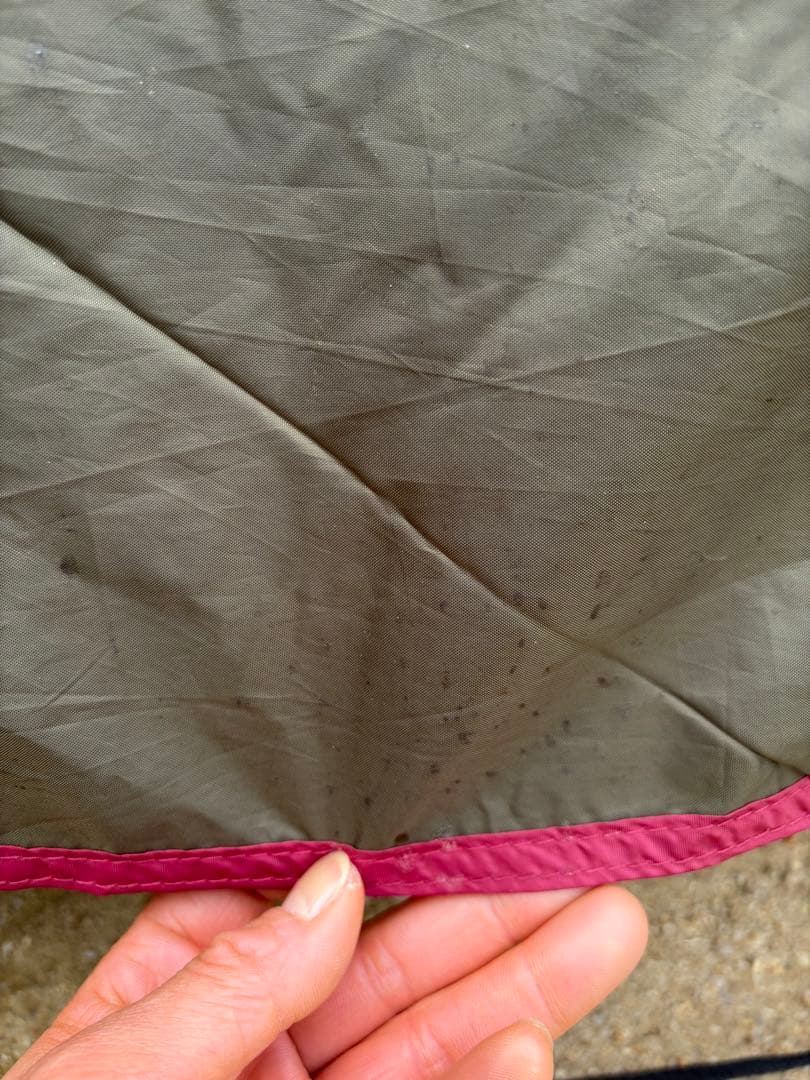 オガワ　ステイシーSTー2 スタンディングテープ付き