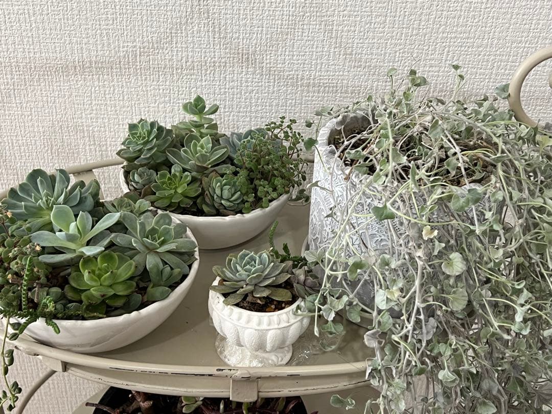 フレンチスタイル＊シャビーホワイト　アイアンシェルフ＊キャスター付