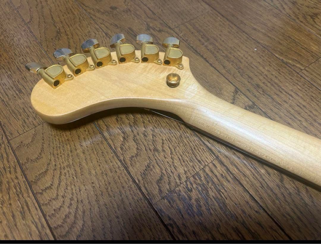 音マニアちゃんFERNANDES DIGI-ZO HYPERジャンク送料込