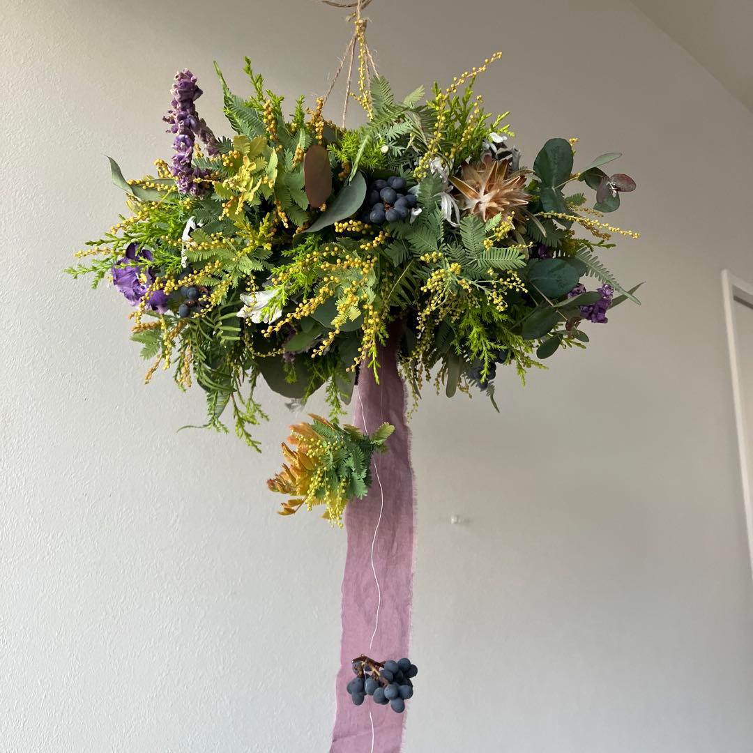 感謝SALE!オーレアミモザとプルモサムのフライングリース　ビオラ