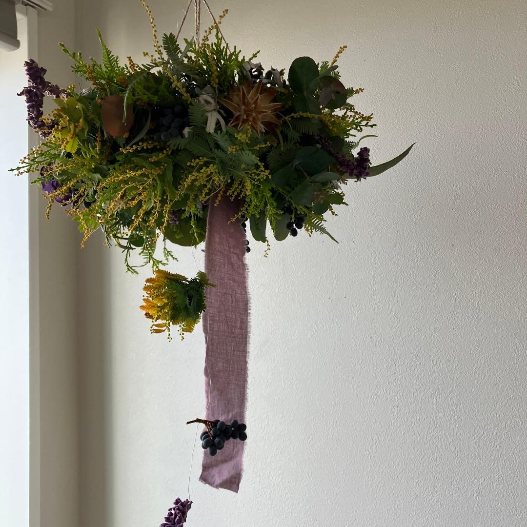 感謝SALE!オーレアミモザとプルモサムのフライングリース　ビオラ