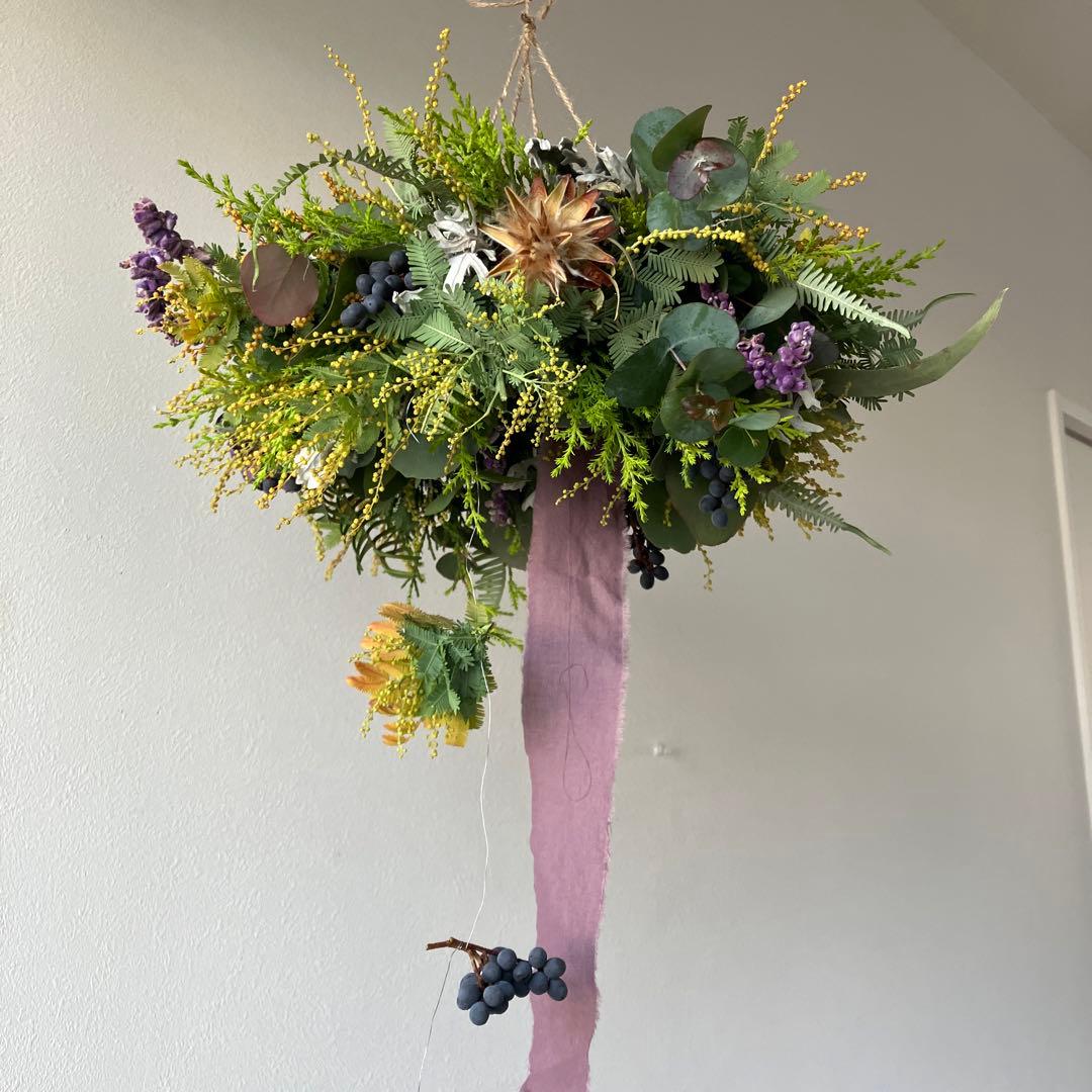 感謝SALE!オーレアミモザとプルモサムのフライングリース　ビオラ