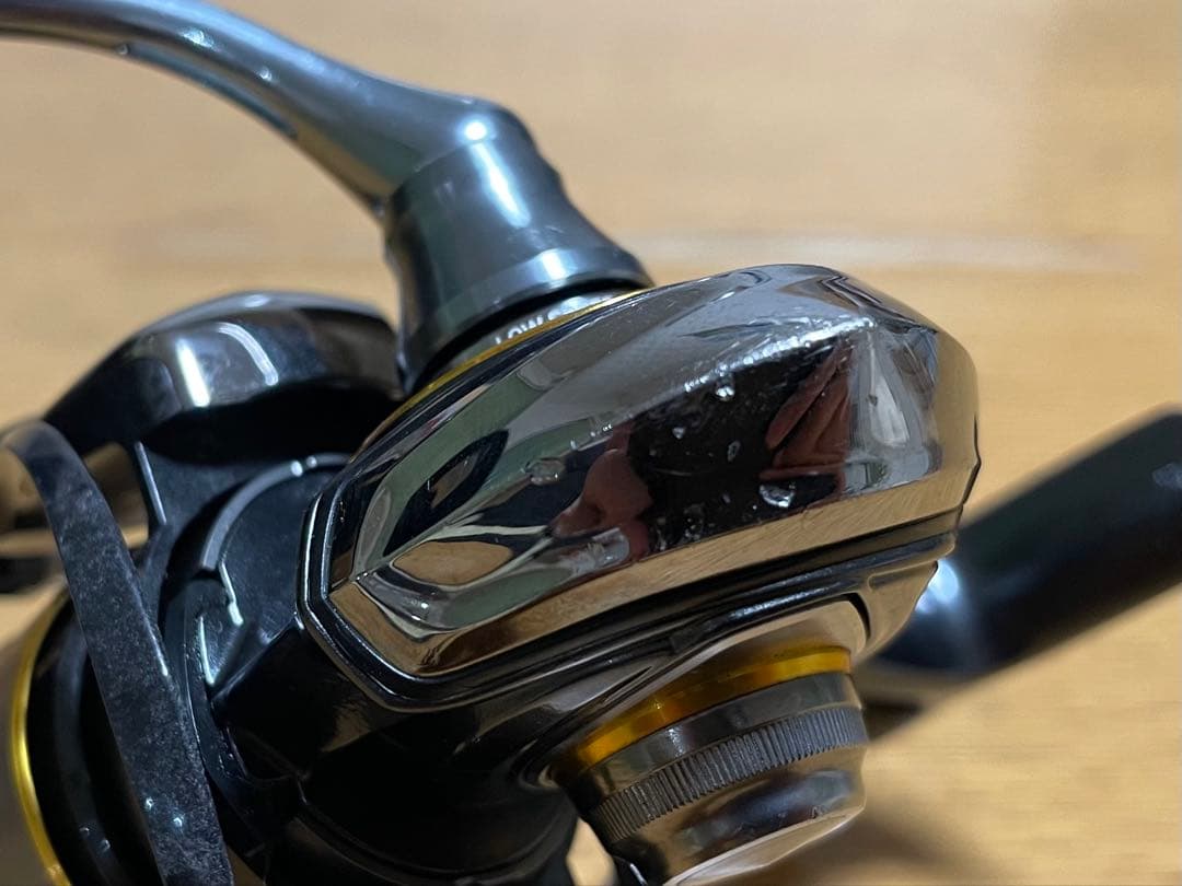 ダイワ 21 ルビアスエアリティ FC LT1000S-P