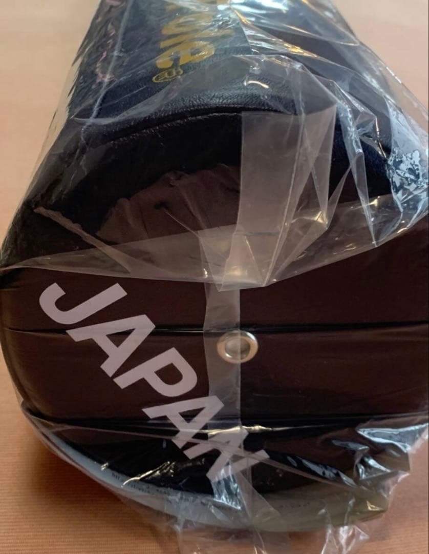 StretchPole エクササイズ DVD付2024JAPAN