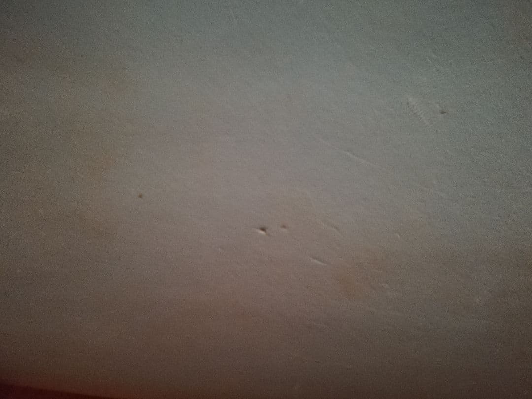 ミックファニングソフトボード 5'8\" 30.5L