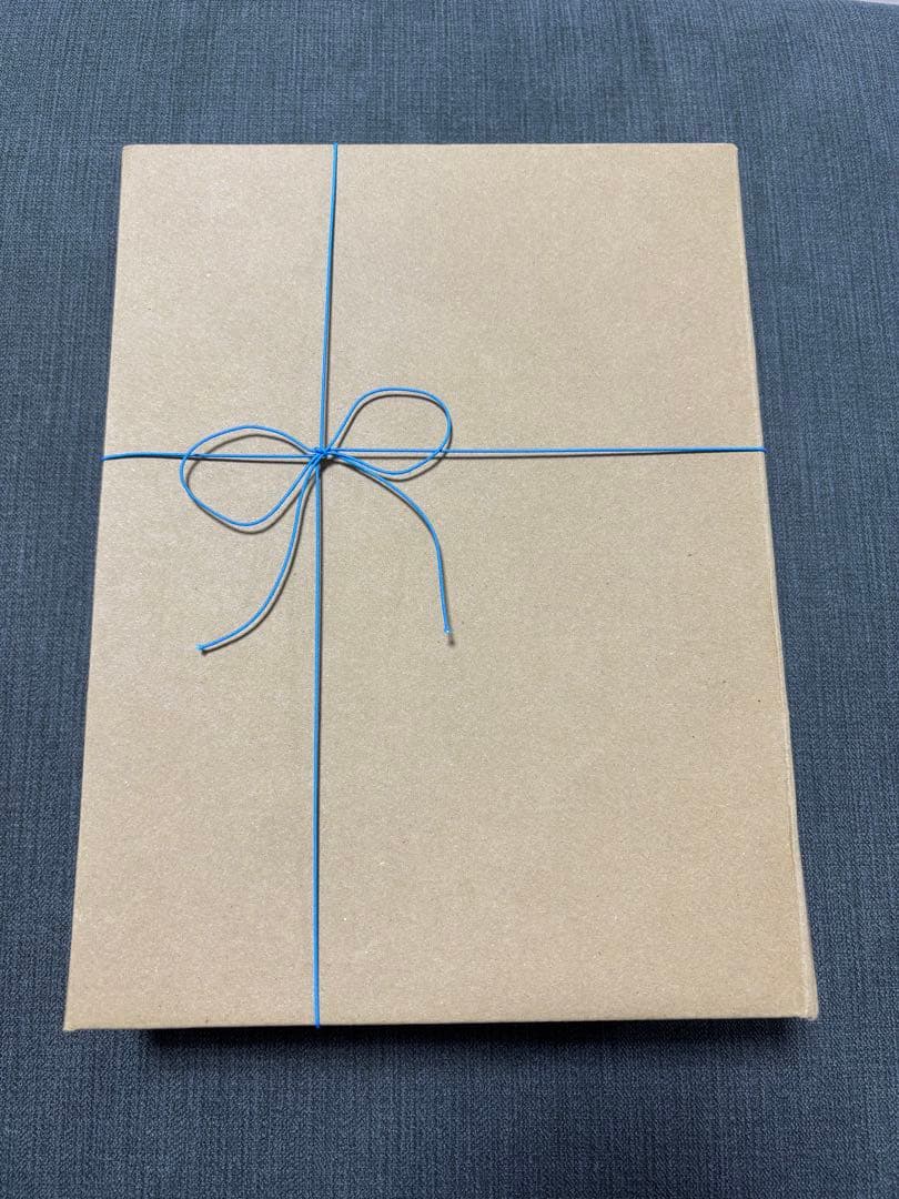 ＊新品＊mina perhonen×野田琺瑯 レクタングル 浅型 M L 2点