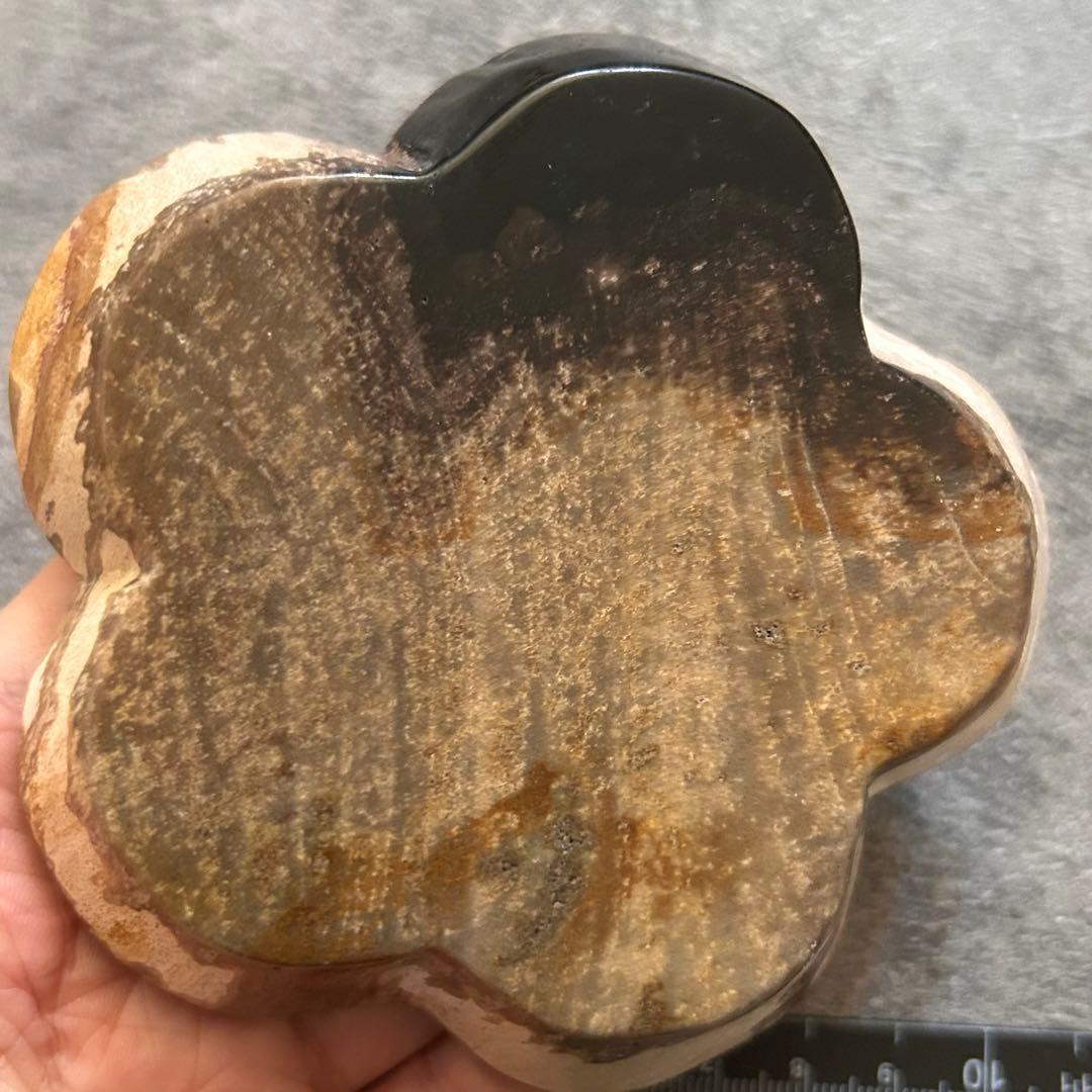 天然石 珪化木 皿 花