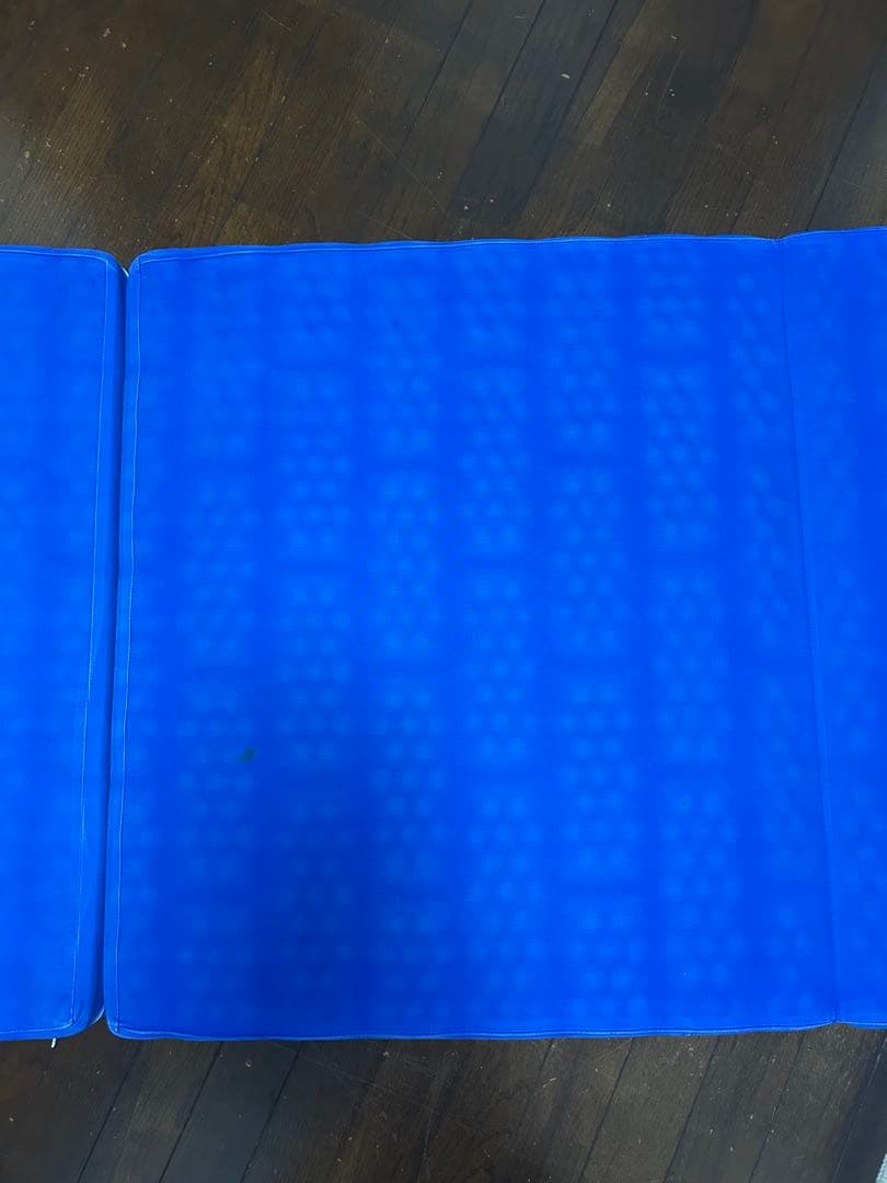 ヘルスウェーブゴールド 施術用 NSP（195×75×11）