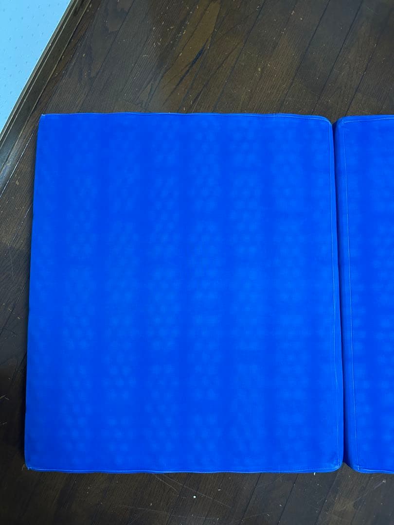 ヘルスウェーブゴールド 施術用 NSP（195×75×11）