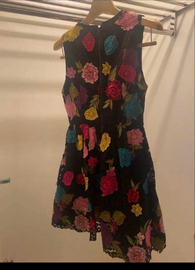 破格　桐谷美玲着用Alice + Olivia Becca Dress ブラック