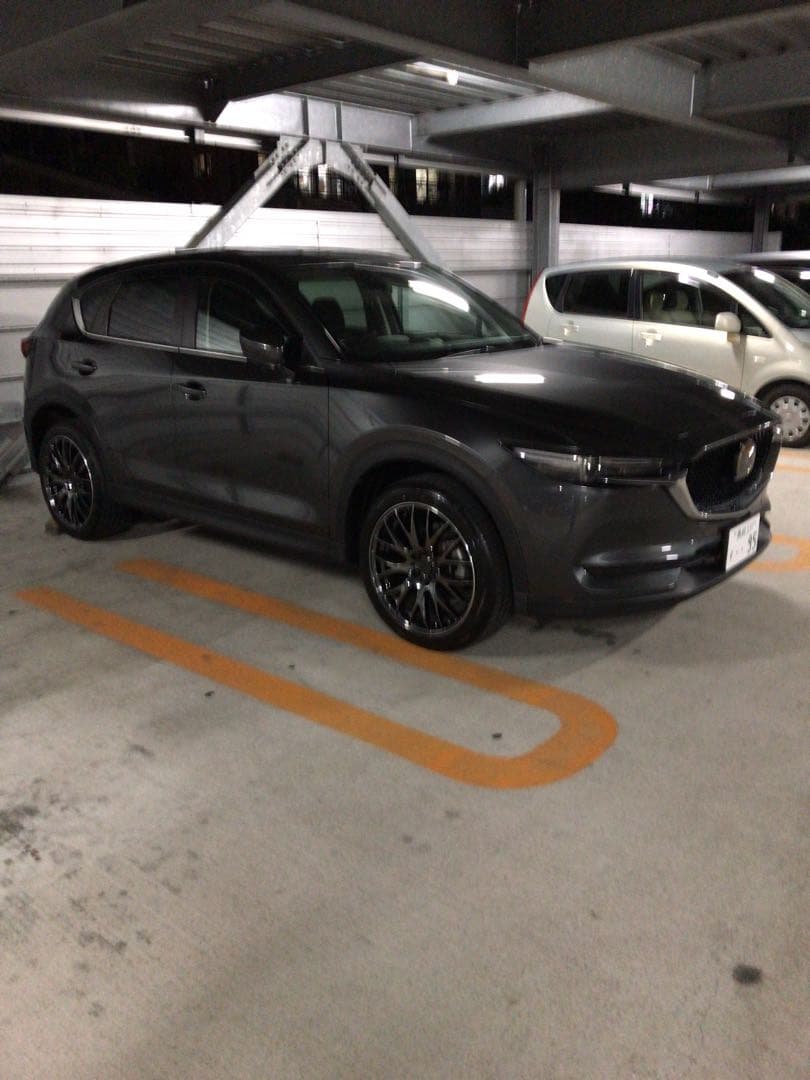 RAYS HOMURA 2×9 20in 8.5J +45 PCD114.3