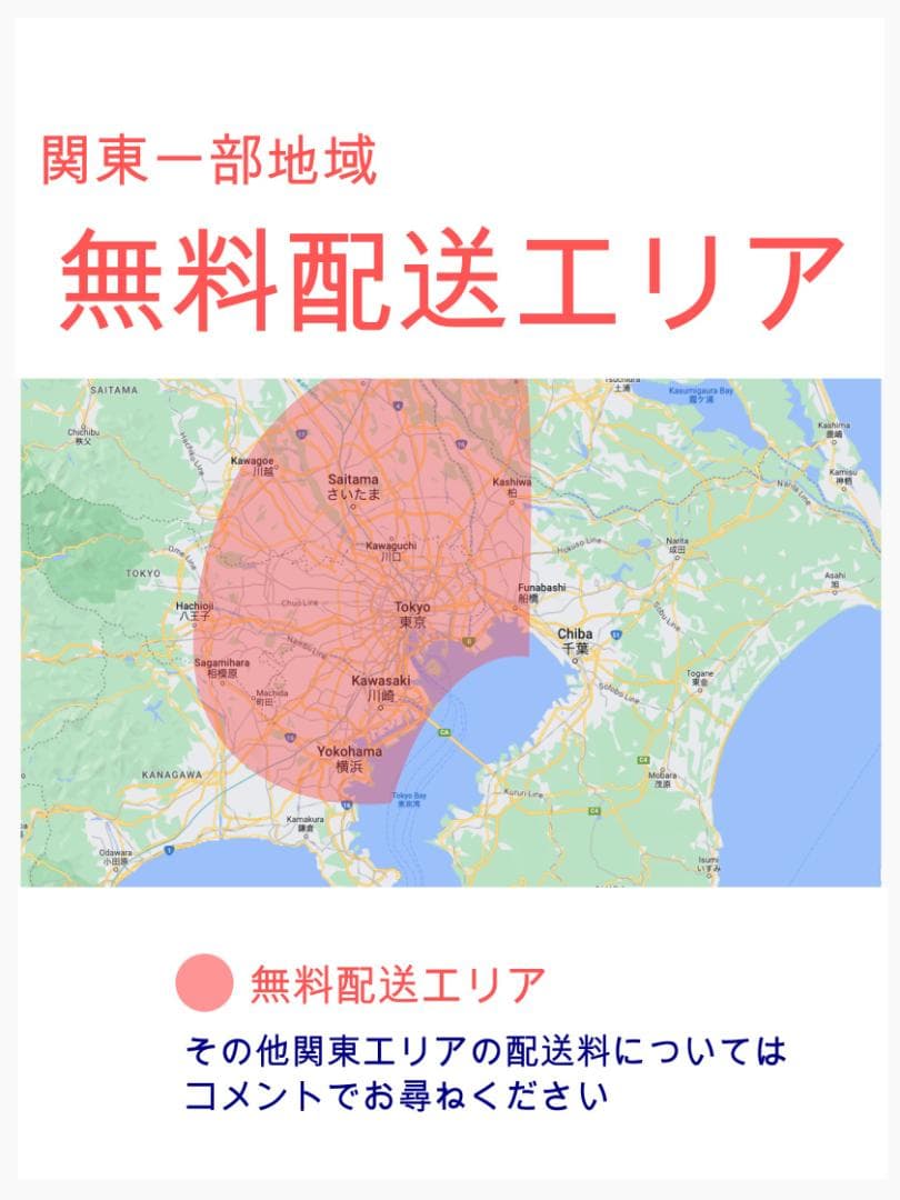 破格 ホワイト系 王様 ギュットアニーズ子供乗せ電動アシスト H2972