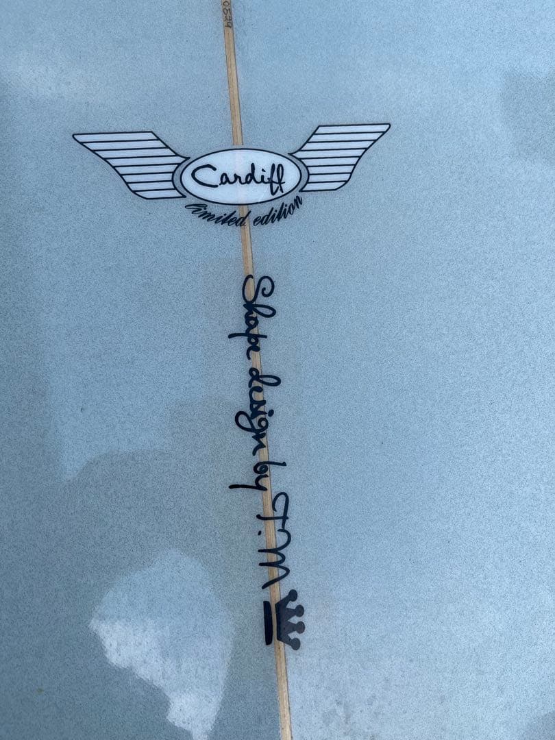 ファンボード ミッドレングス カーディフ　Cardiff 7.5f 石川県