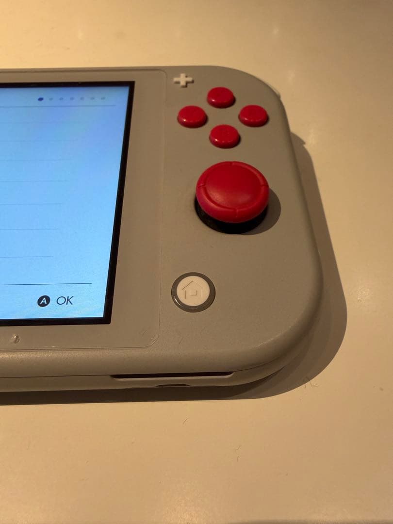 Nintendo Switch Lite グレー/青/赤　ケース付き