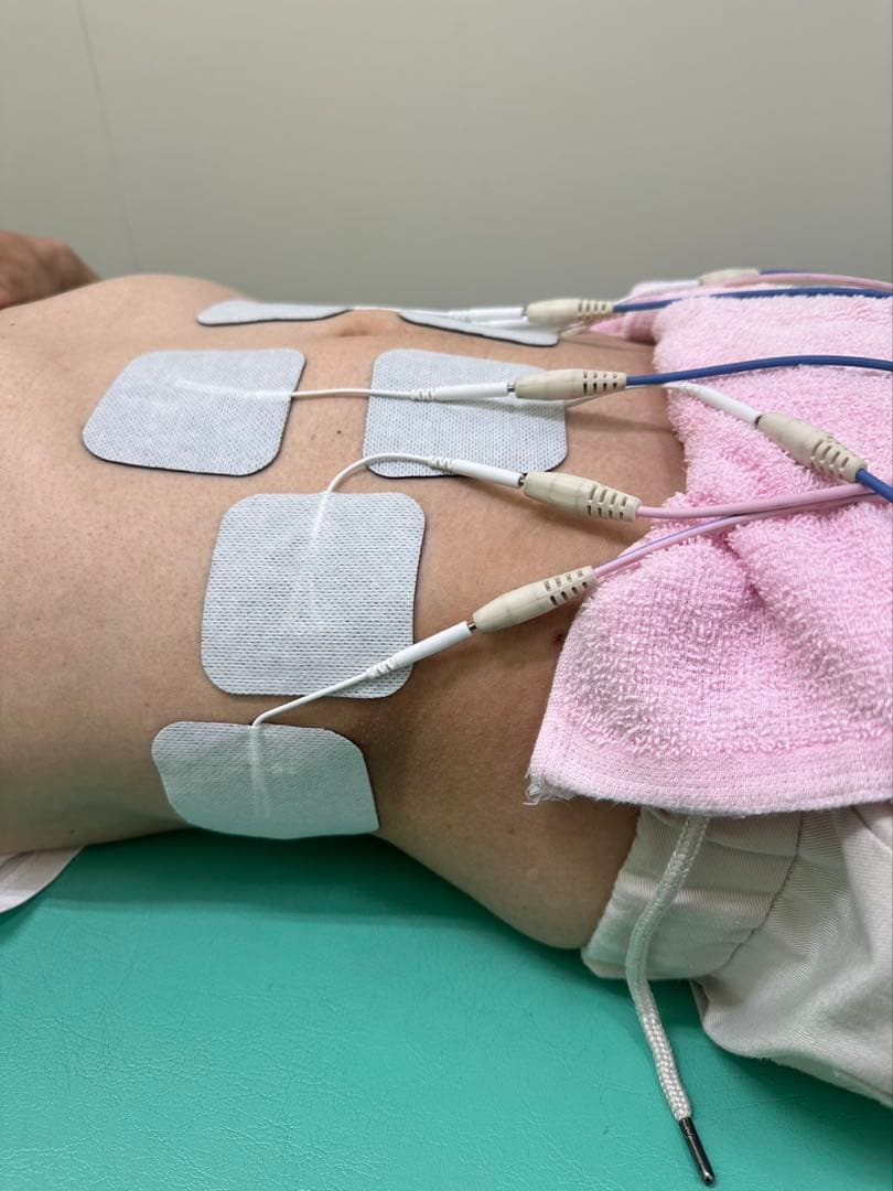 EMS粘着パッド40枚　整骨院楽トレ　バイトレJOYトレEMSパット 電極パッド