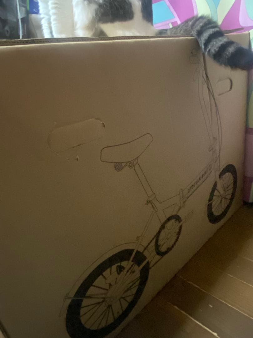 SoftBank OTOUSAN BIKEホワイト 折りたたみ自転車＋輪行バッグ