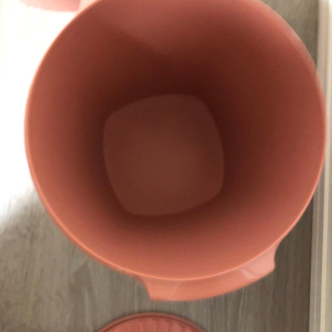 Tupperware マキシクイーンデコレーター　11L　2個