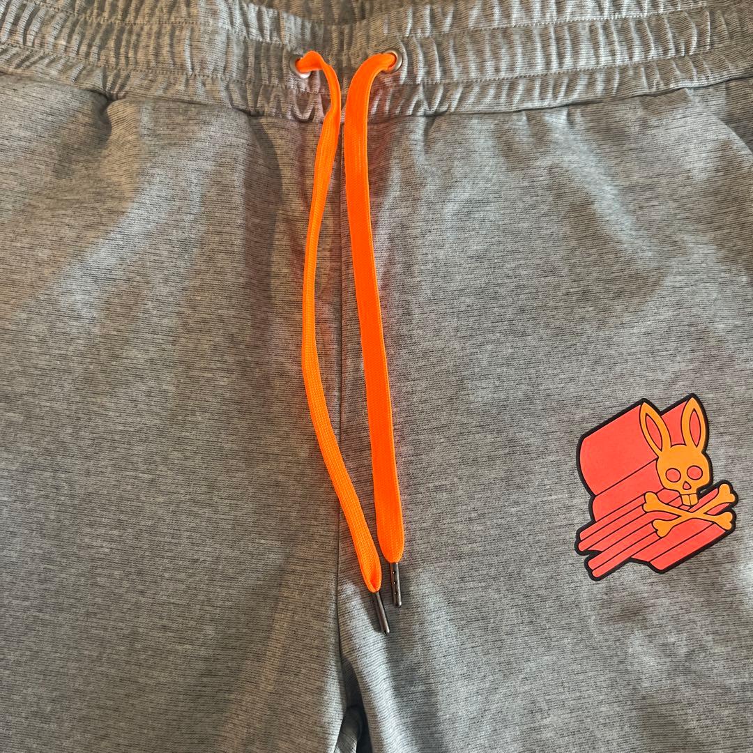 サイコバニーセットアップ