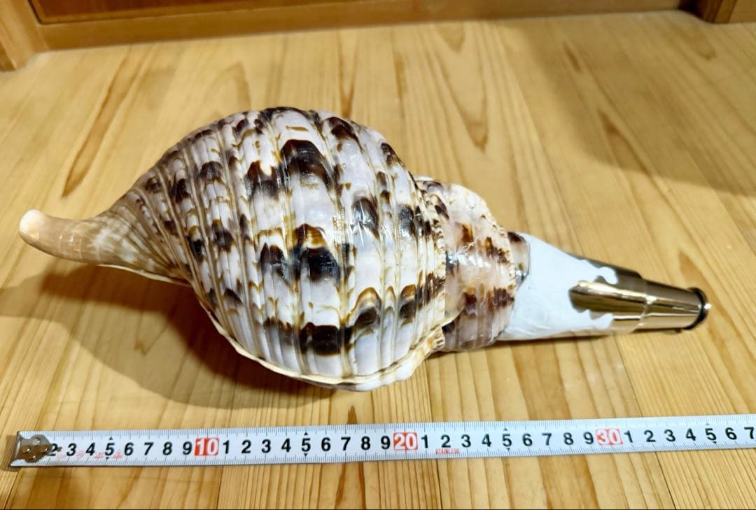 ケ*ン様 修験道法螺貝36㎝　山伏　密教　魔除け　熊よけ❣️ホラガイ　ほら貝