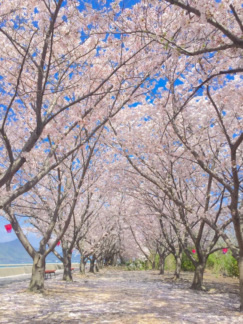 Canon EOS Kiss x5 ダブルズームキット