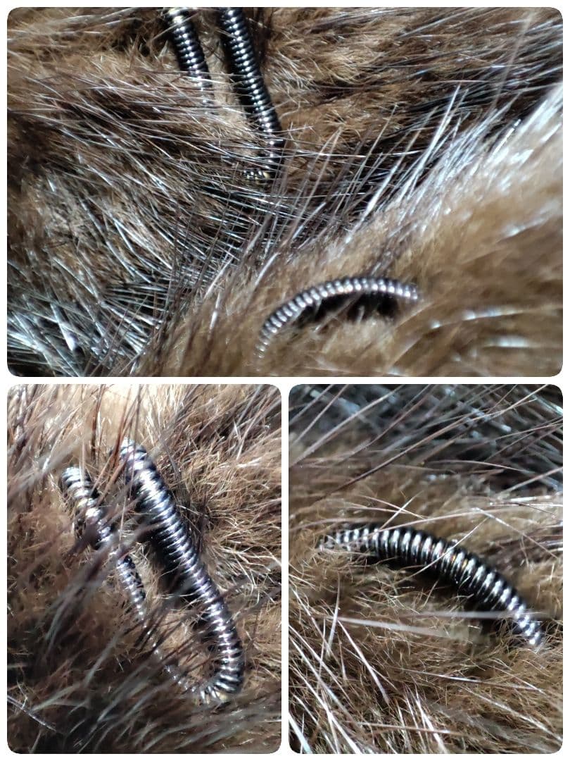 美品　毛皮　ファーショール　ミンク　大判　ダークブラウン　フック掛け　ポケット有