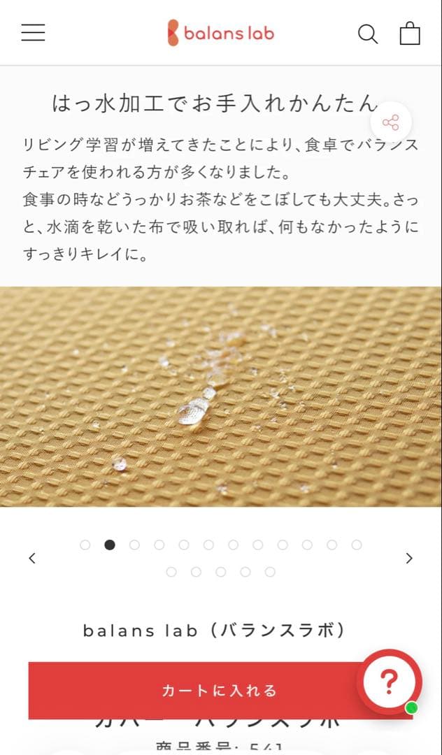 balans lab バランスイージー　通常フレーム