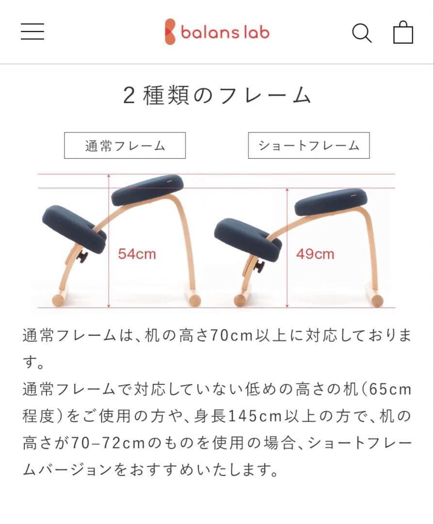 balans lab バランスイージー　通常フレーム