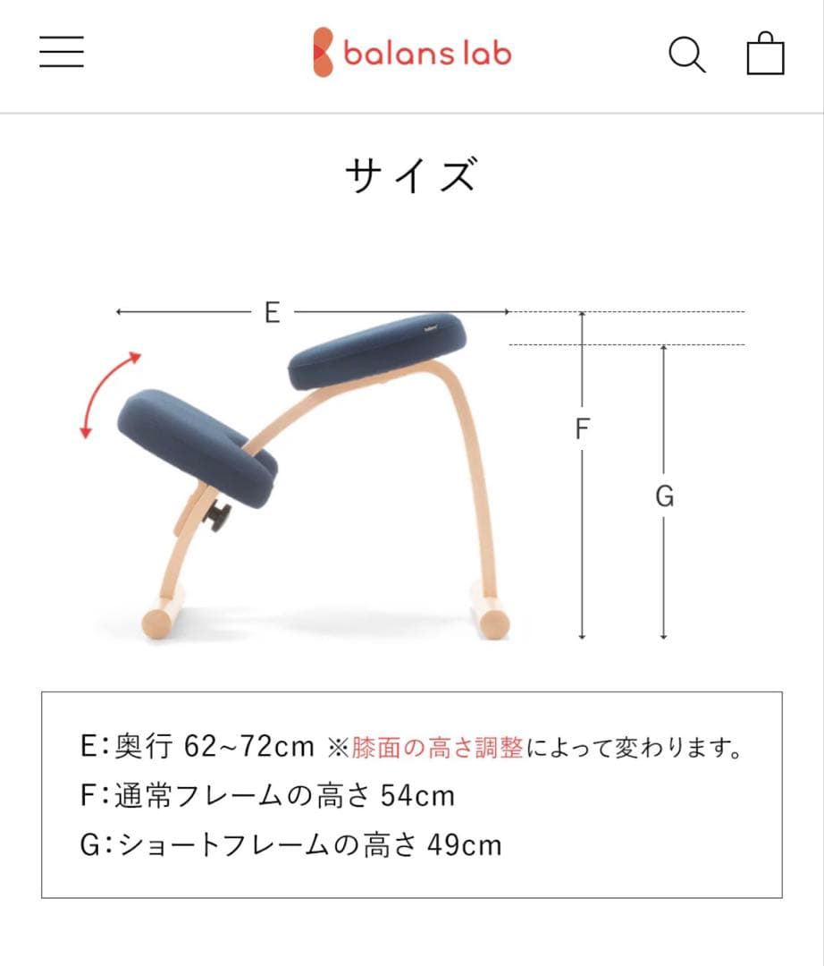 balans lab バランスイージー　通常フレーム