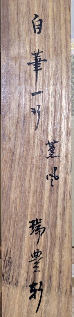 表千家　八幡宗豊宗匠　薫風自南来　掛け軸　共箱　茶道具　茶掛け　書画　美術品