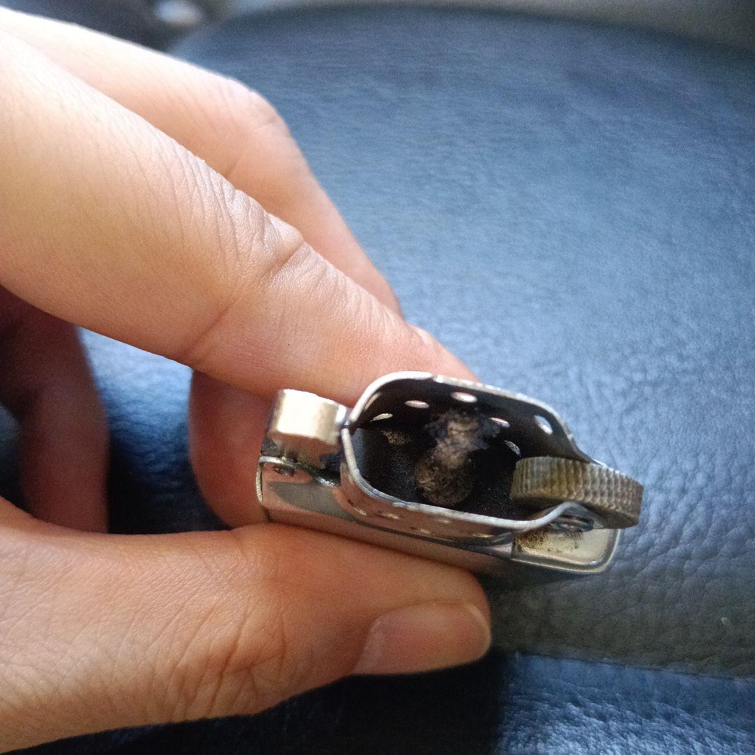 ペンギンライター ハンサム・ダンHandsome Dan　イェール大学