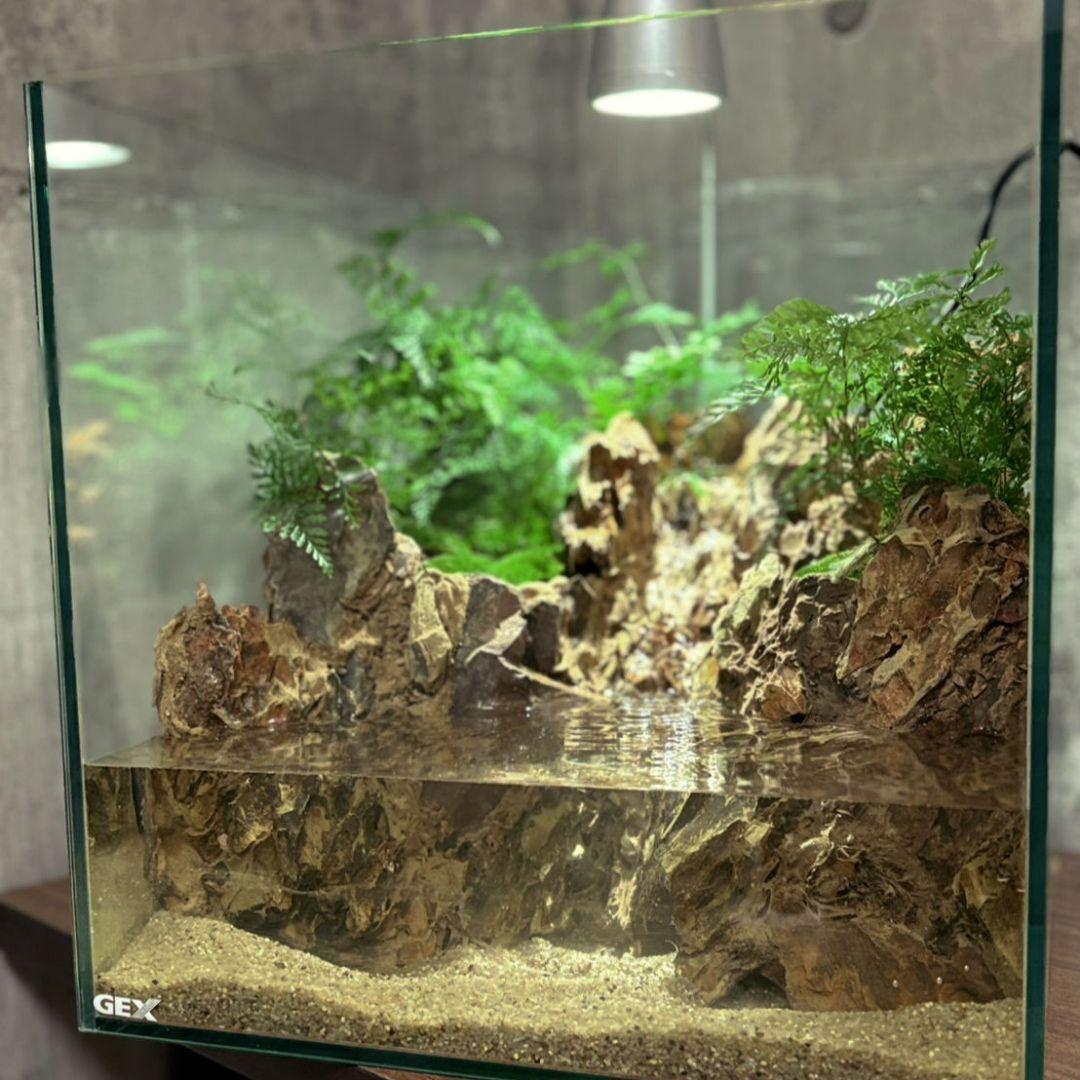 滝の流れるアクアテラリウム　No.1144