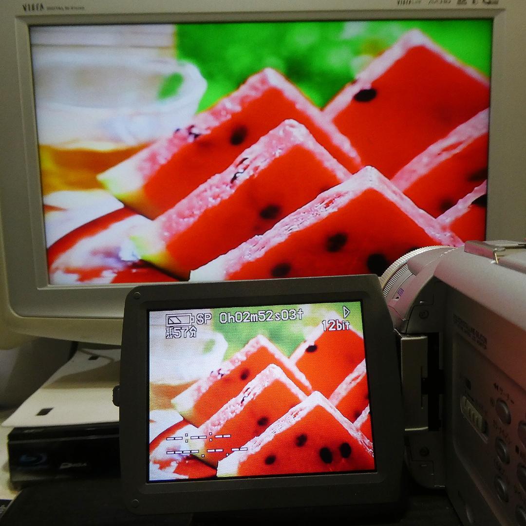 動作良好 パナソニックNV-MX5000 MiniDVビデオ DVD化に最適 !