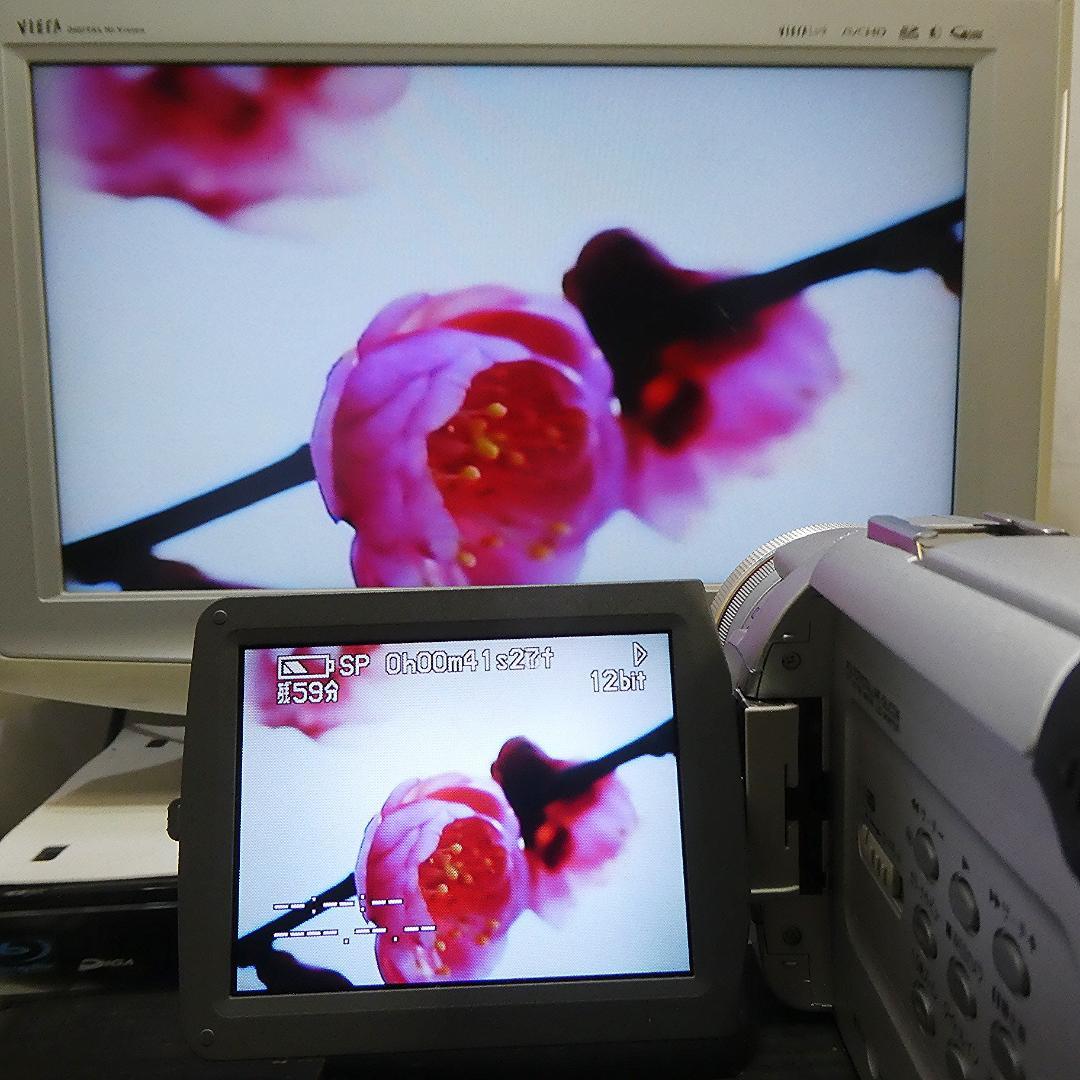 動作良好 パナソニックNV-MX5000 MiniDVビデオ DVD化に最適 !