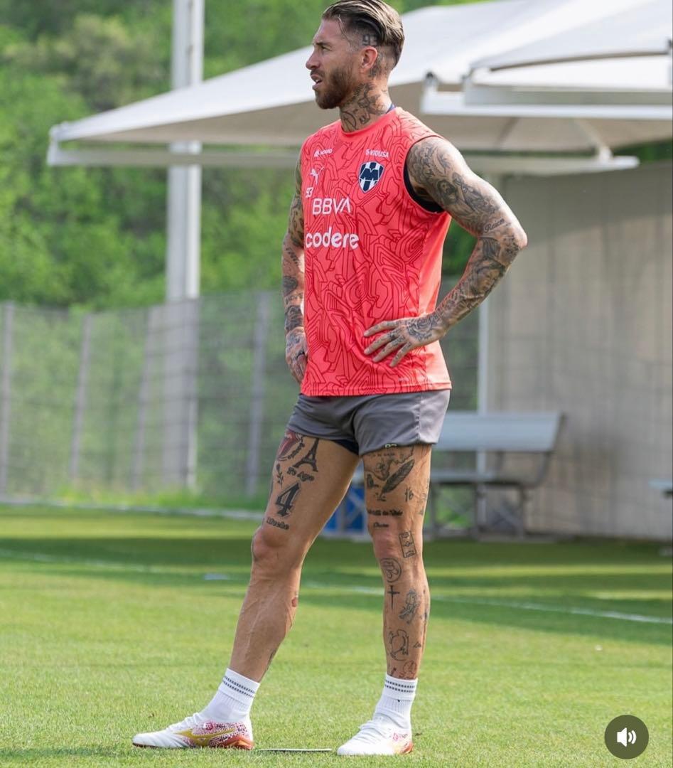 モレリアネオ4 β