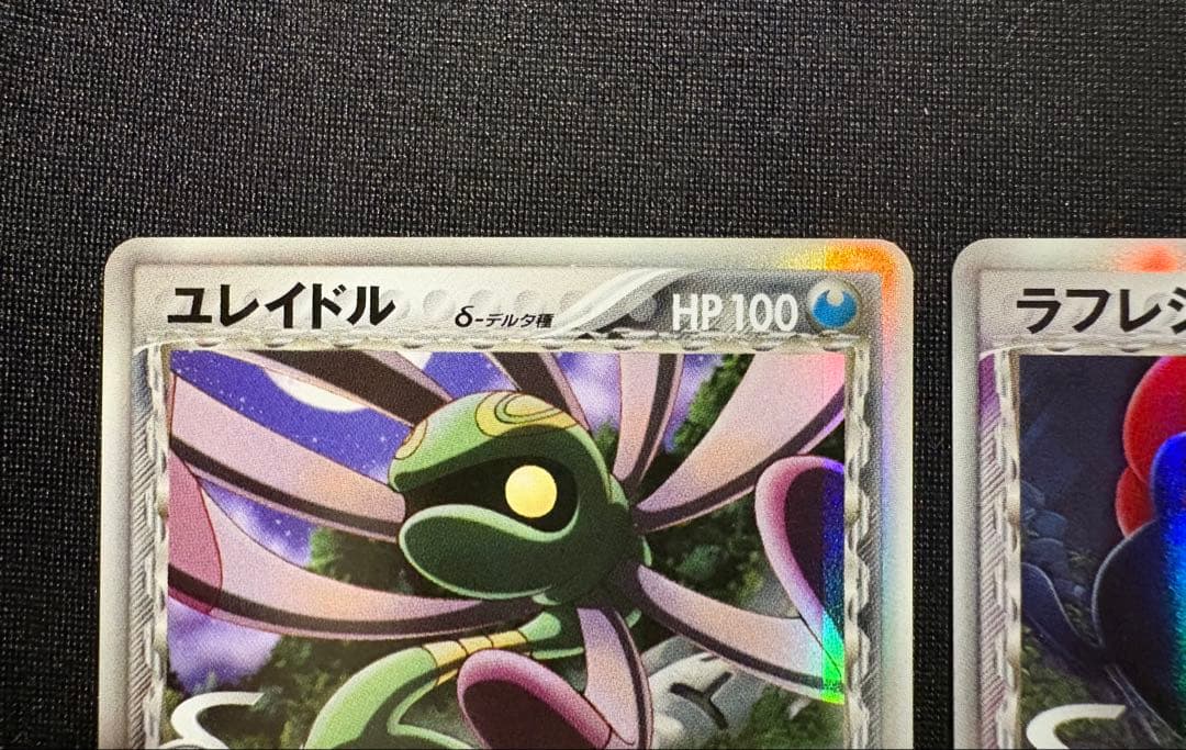 【まとめ】オーダイル デンリュウ ラフレシア ユレイドルδ デルタ種 2006