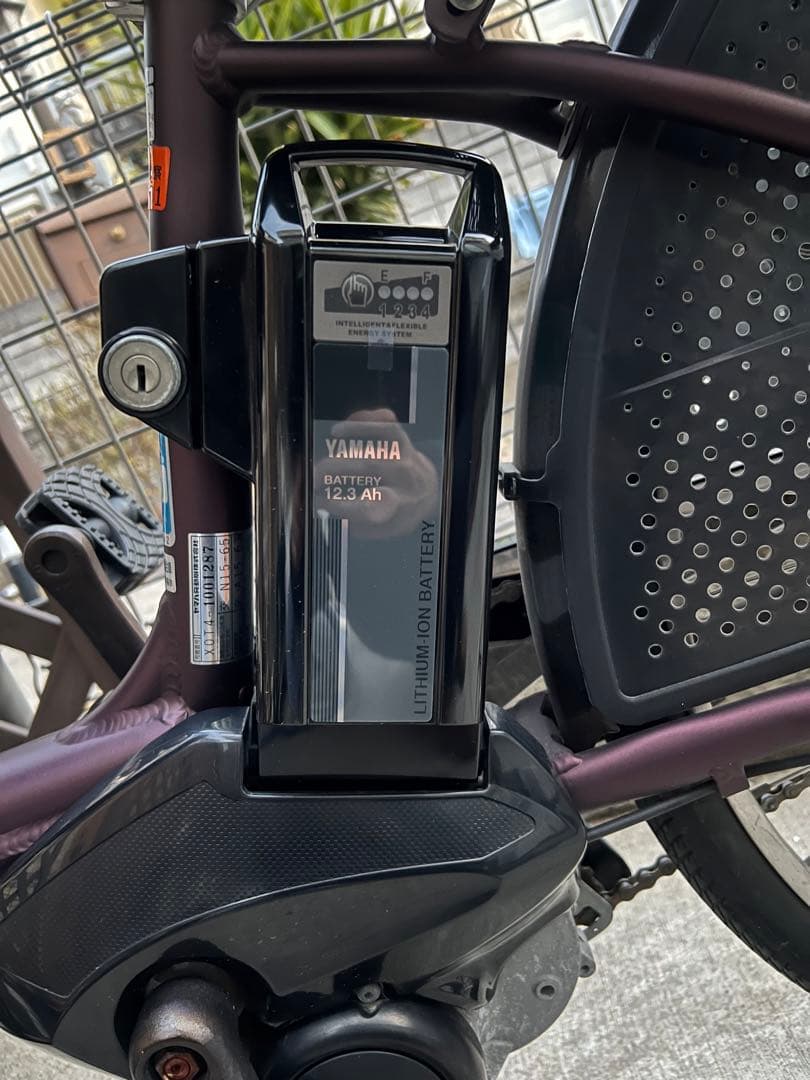 自転車本体 YAMAHA PAS Kiss