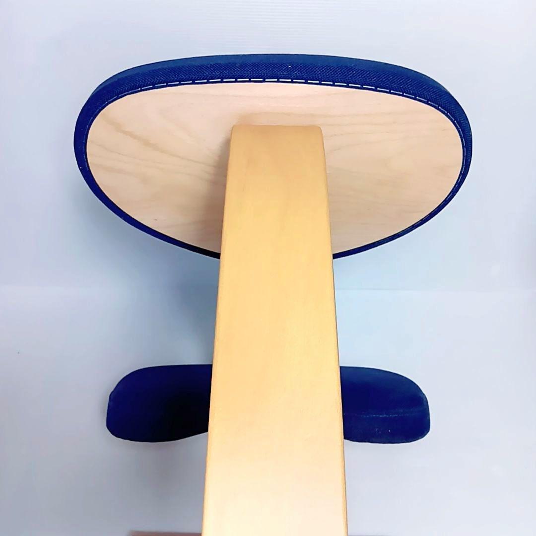 サカモトハウス　balans Easy バランスイージー　ネイビー　姿勢矯正