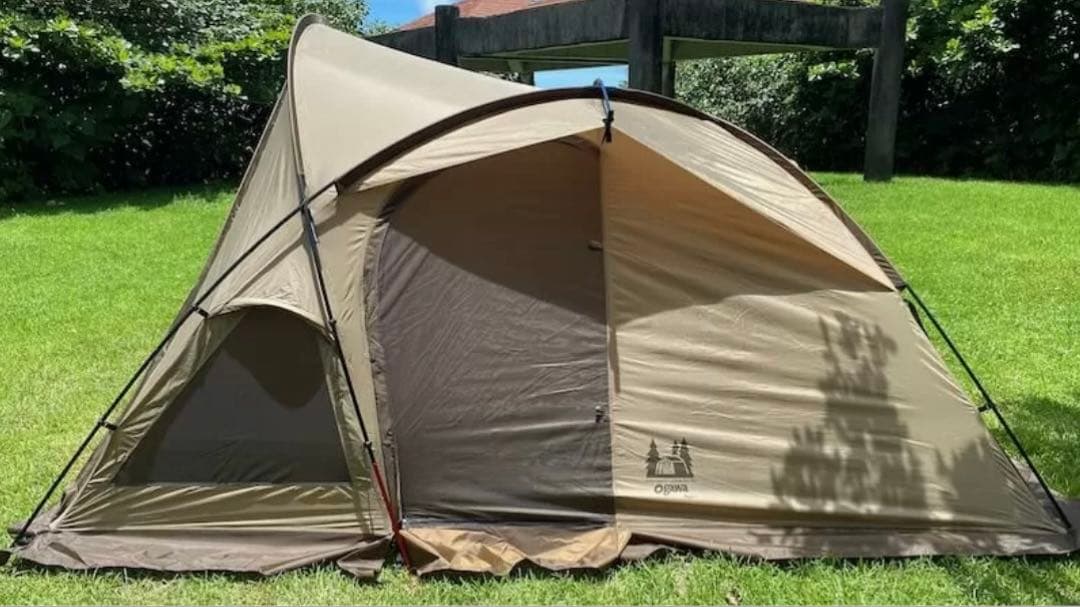 ogawa vigasⅡ オガワ ヴィガス2