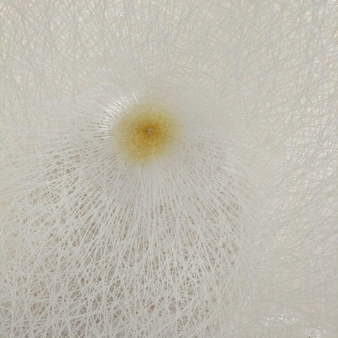 MAYUHANA YAMAGIWA フロアライト(L-2507SL3)