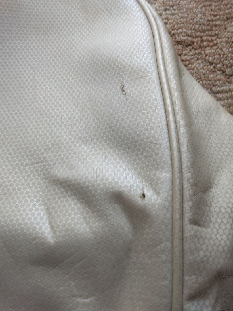 XXIO　キャディバッグ　男女兼用　ヘッドカバー付き