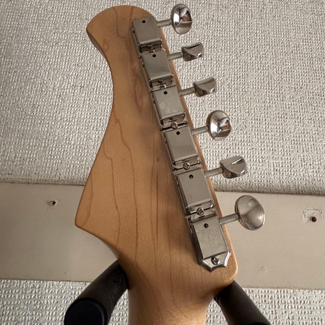 さ*こ様 Bacchas グローバルシリーズ　BST-500G CAR