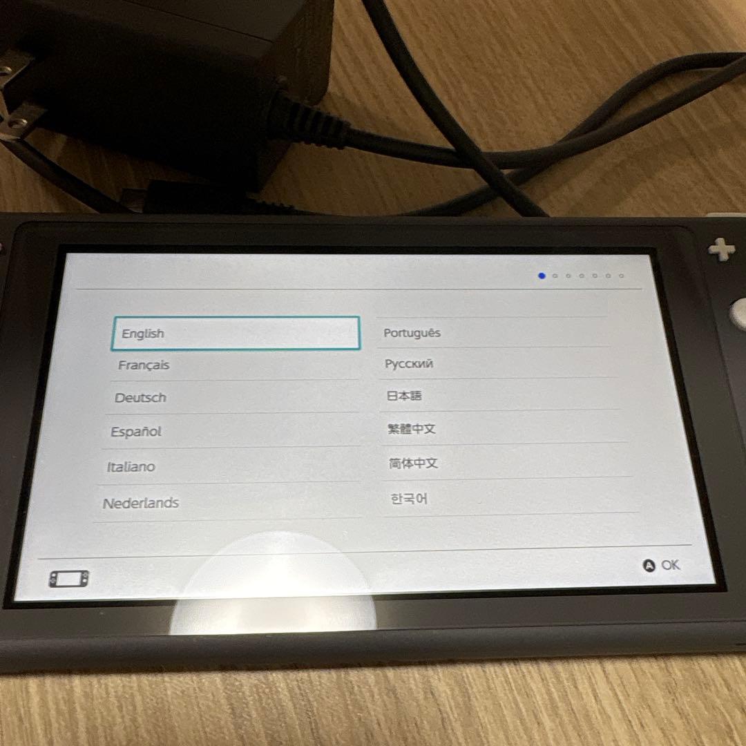 Switchライト　グレー　あつまれどうぶつの森　ソフト　セット