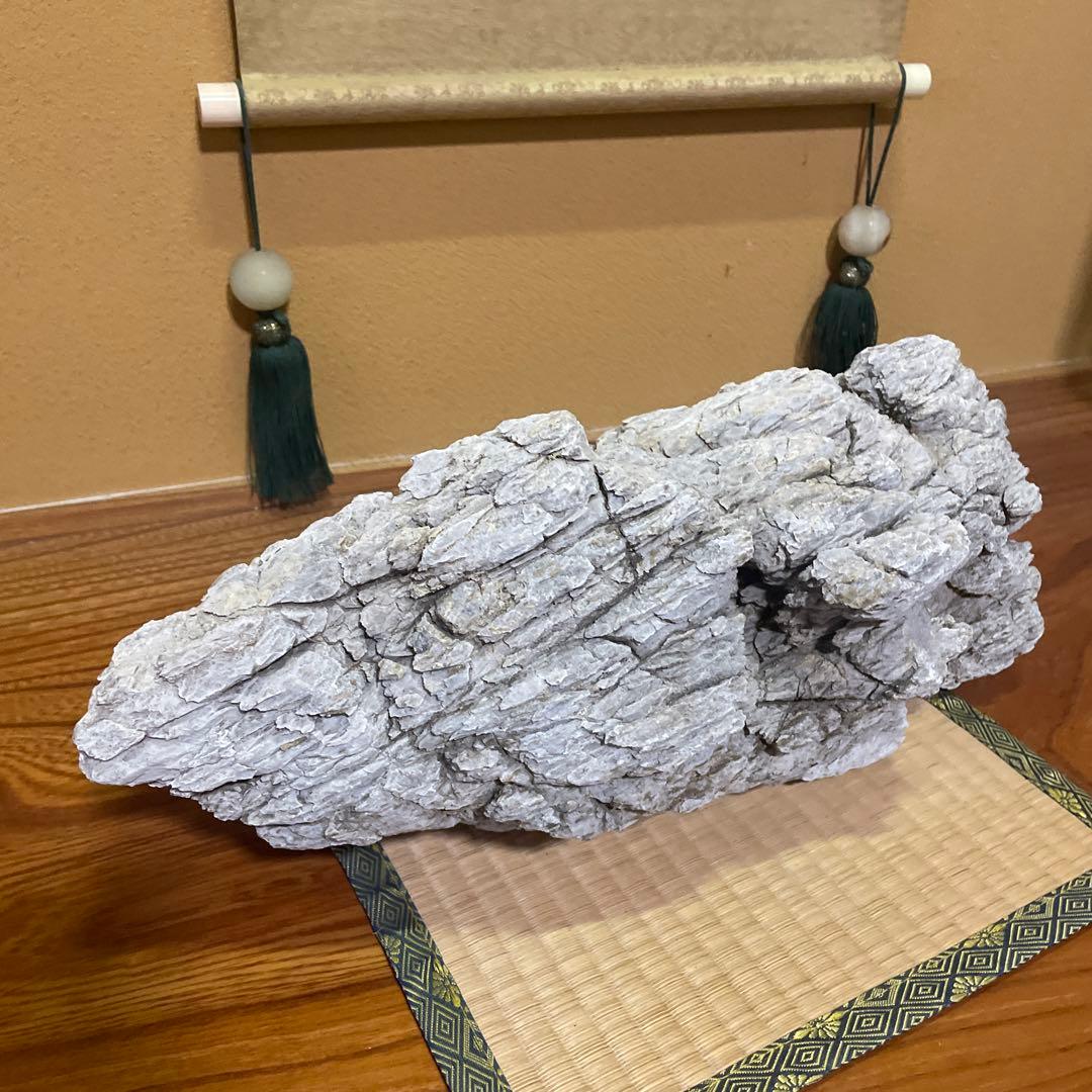 亀文石 水石 鑑賞石 庭石 アクアリウム【特大】