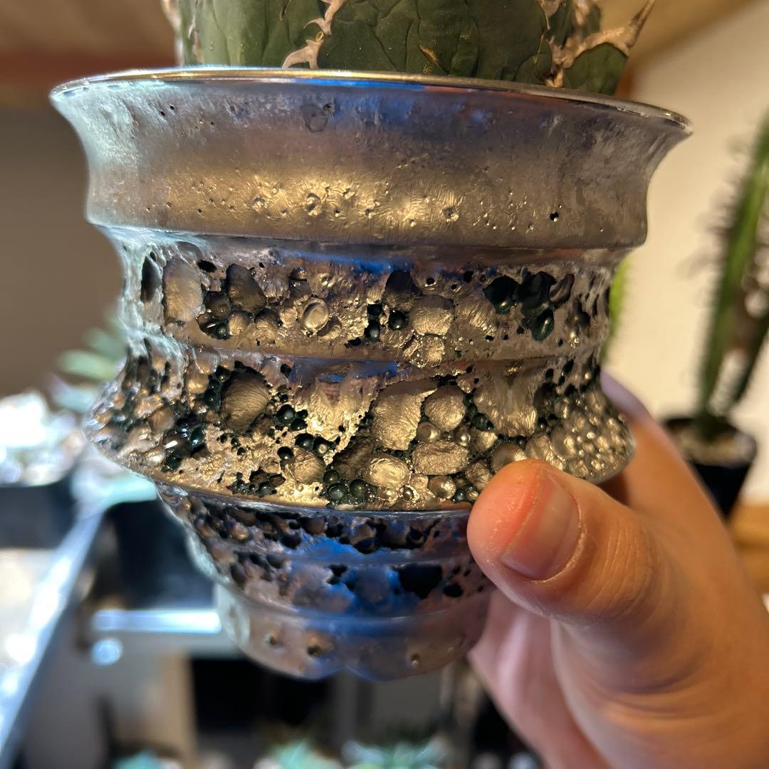 モリコロページ