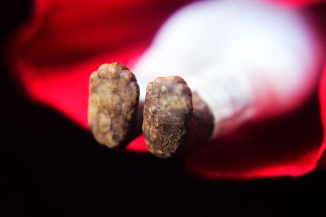 ヴィンテージ チャイナヘッドドール ベア オーナメント クリスマス ビスクドール