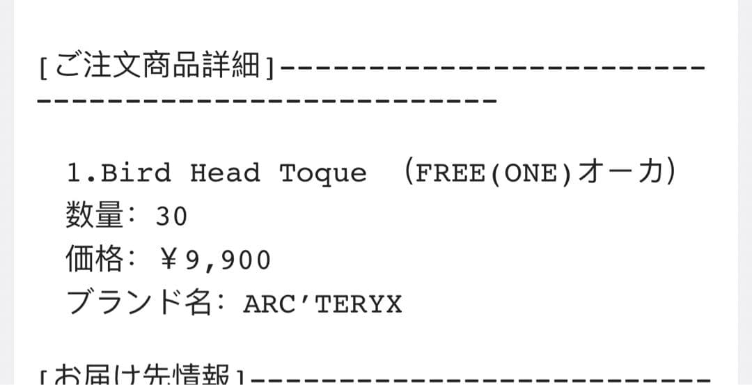 帽子 ARC'TERYX Bird Head Toque \"Orca\"