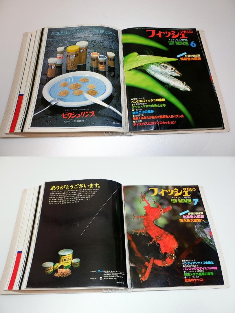 イ*3様 月刊フィッシュマガジン 1979年6月号～1981年2月号 昭和54～