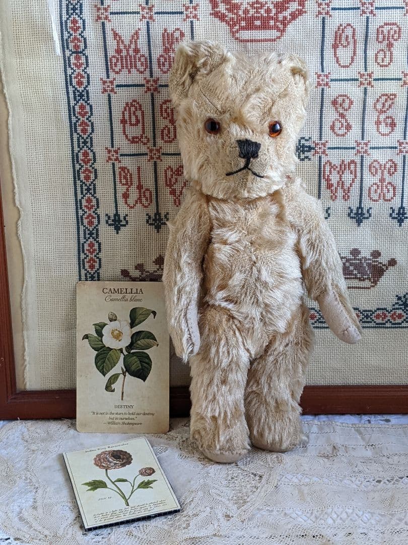 【r】アンティークベア　アンティークテディベア　チルターン　イギリス