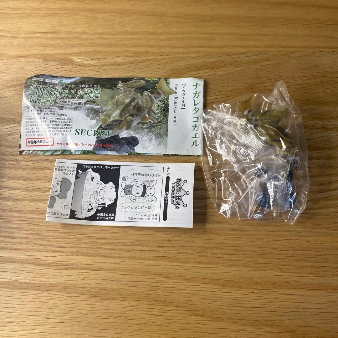 【未使用】YUJIN 原色両生類カエル図鑑　新改訂版　15種